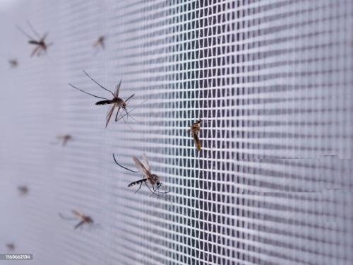Moustiquaire Plissée Latérale